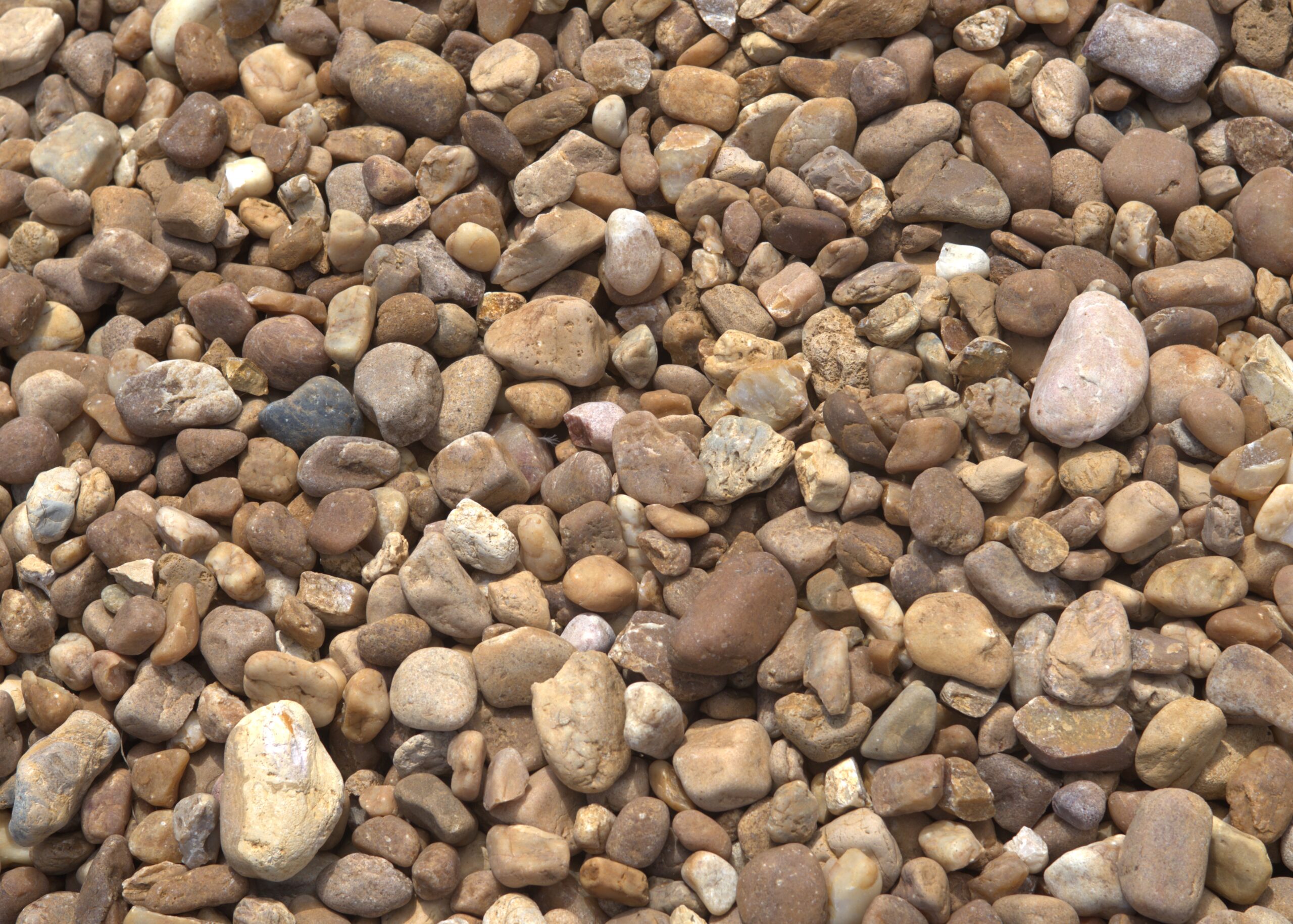 4 Brown