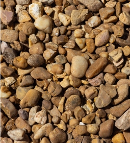 4 Brown